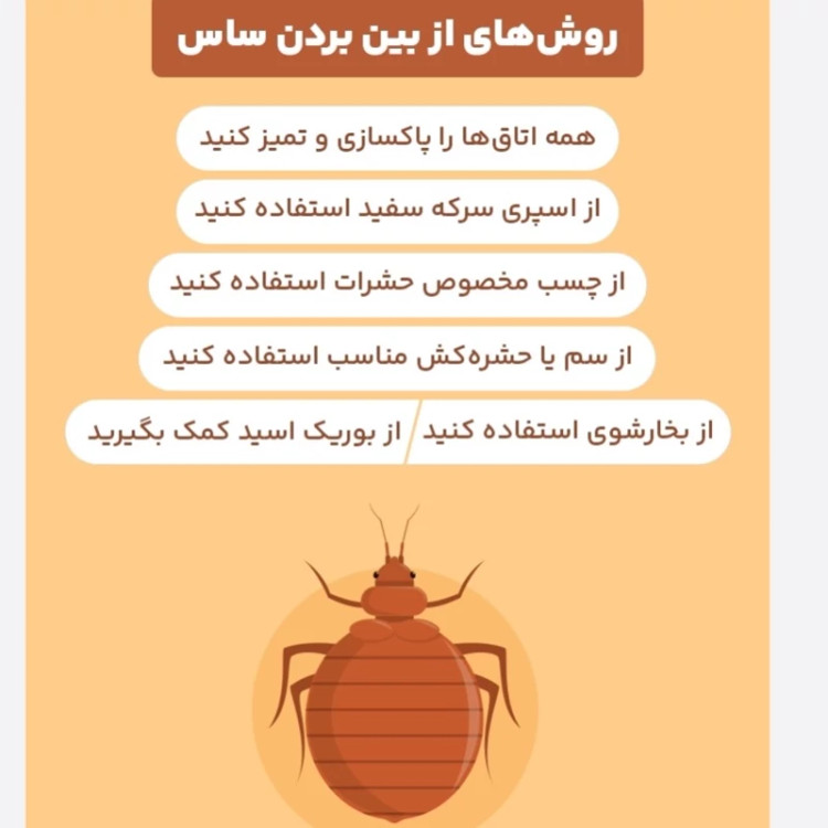 سم ساس پیرانا تحت لیسانس کشنده ترین ساس کش دنیا ، ارسال رایگان