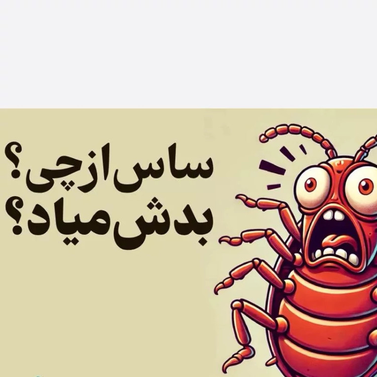 سم ساس بد باگ اوت کشنده ترین ساس کش ارسال رایگان
