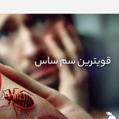 سم ساس پرو مکث رقیب ساس های خونخوار ارسال رایگان