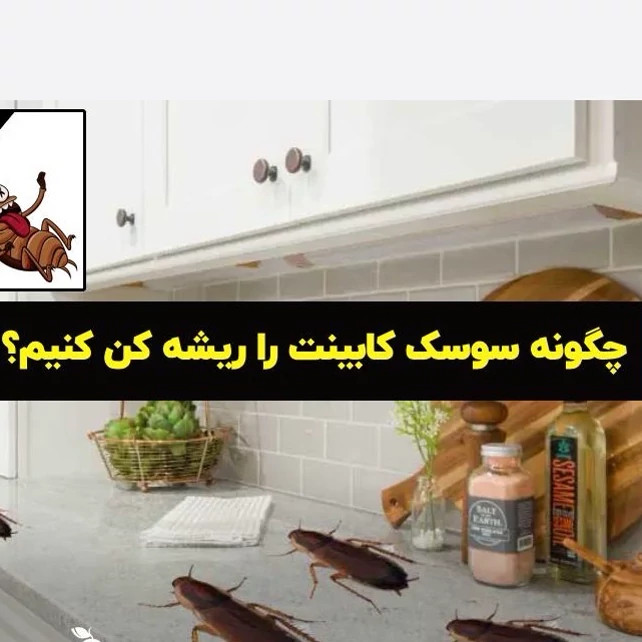 سم یک لیتری سوسک کش ریز و درشت ریپلزال بدون بو ، ارسال رایگان