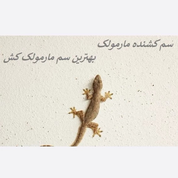 سم مارمولک کش ساویر بدون بو ارسال رایگان