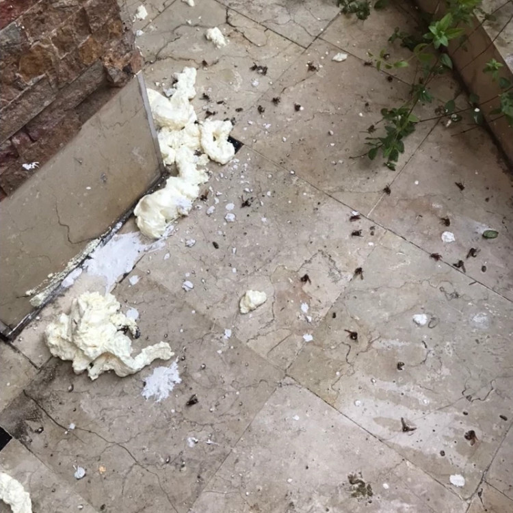 سم مورچه کش انت کیلر بدون بو ارسال رایگان