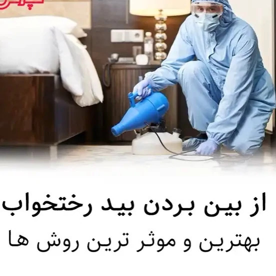 سم بید کش پست اکسپرت بدون بو ارسال رایگان