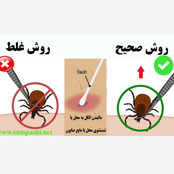 سم کنه کبوتری بلک فلگ ارسال رایگان