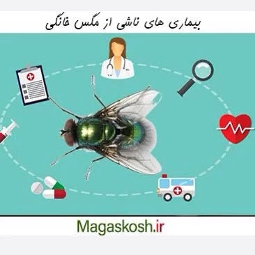 سم مگس کش دیویس ارسال رایگان