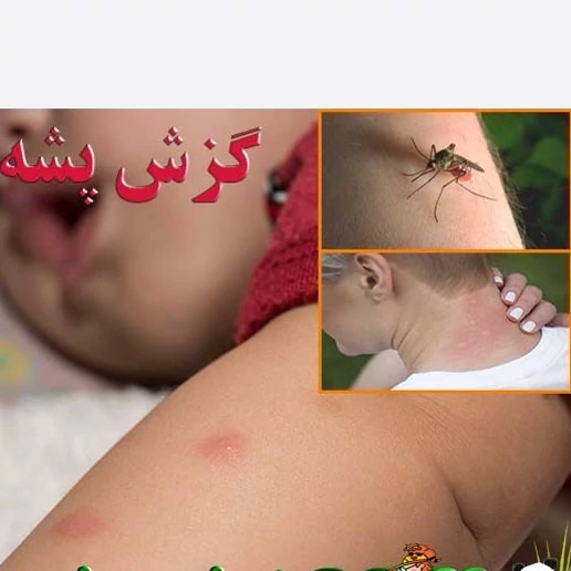 سم پشه کش بات بدون بو ارسال رایگان