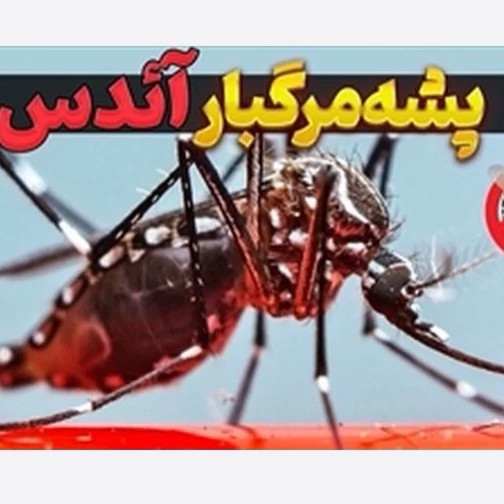 سم پشه کش بات بدون بو ارسال رایگان