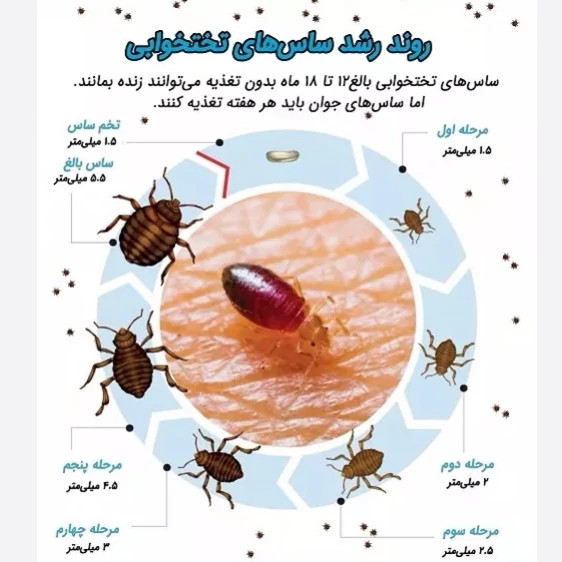 سم ساس کش کراس فایر نسخه بروز شده پیرانا ارسال رایگان