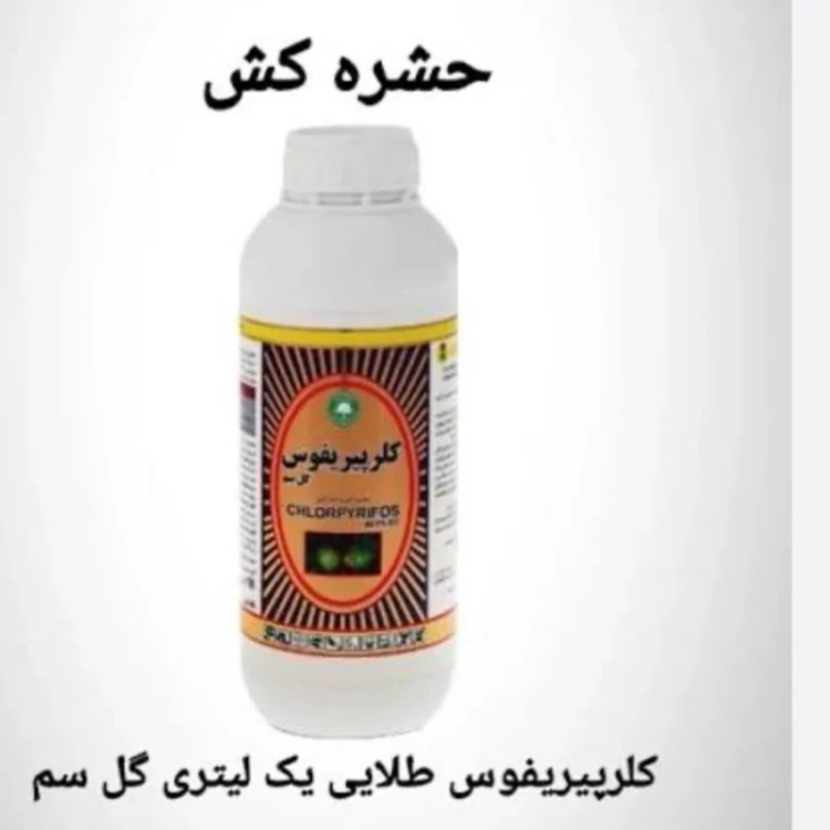 سم کلرپیریفوس یک لیتری کنه کش و شته کش درختان میوه ارسال رایگان به همراه یک عدد سمپاش سرنوشابه ای رایگان مدل 1