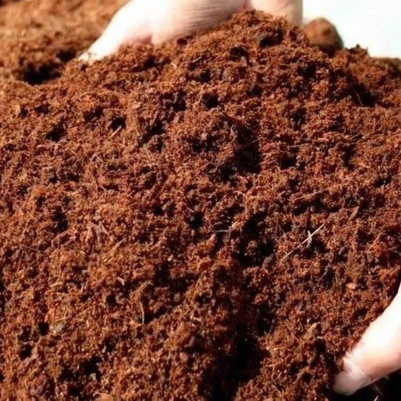 کوکوپیت سریلانکا