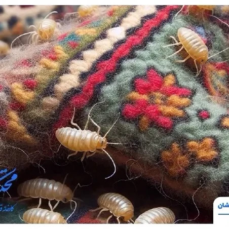 سم بید کش پست اکسپرت بدون بو ارسال رایگان