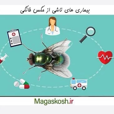 سم مگس کش دیویس ارسال رایگان