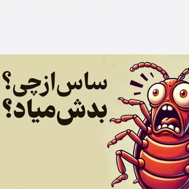 سم ساس بد باگ اوت کشنده ترین ساس کش ارسال رایگان
