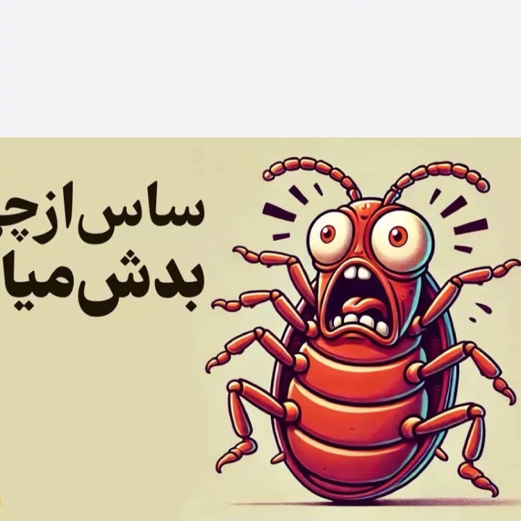 سم ساس پیرانا اصلی بایر با لوگو اورجینال ارسال رایگان