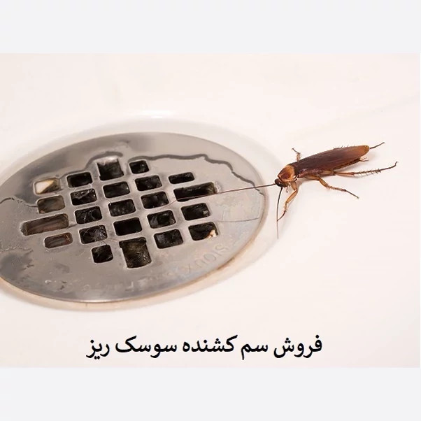 سم سوسک کش رونج کشنده ترین سم بدون بو ارسال رایگان مدل 2