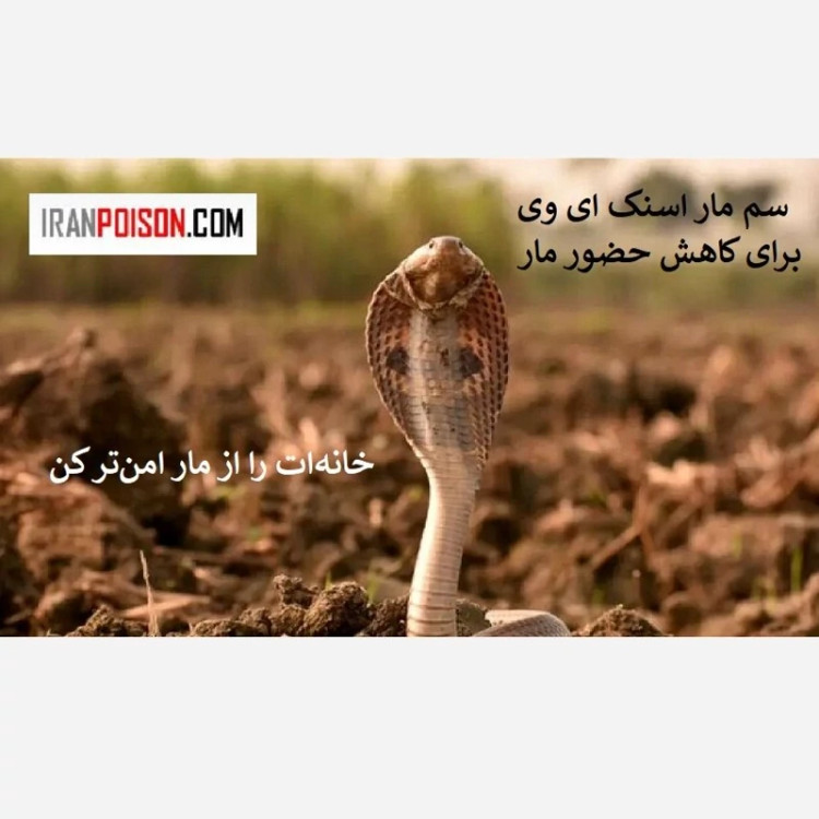 نابودی مار با سم اسنک ای وس