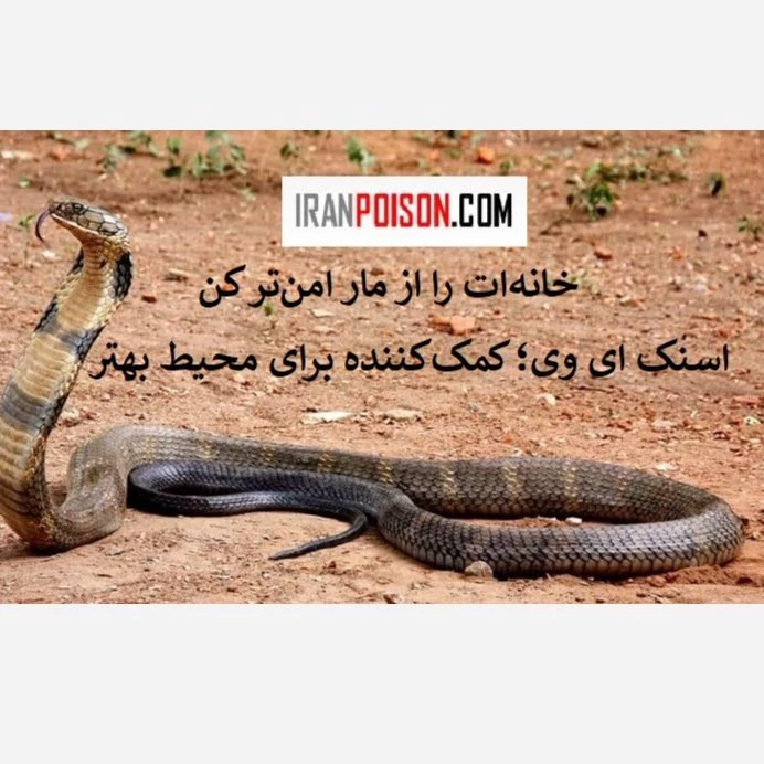 نابودی مار با سم اسنک ای وس