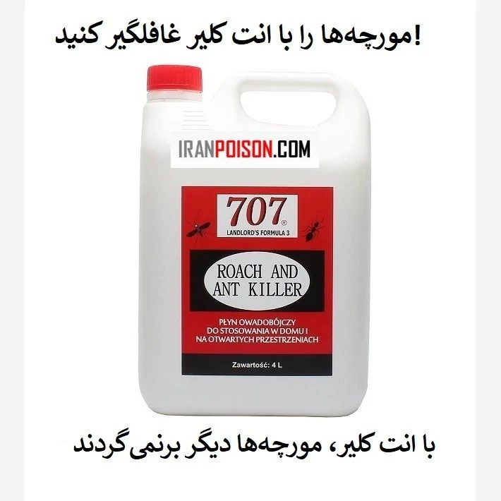 نابودی مورچه‌ها با یک بار استفاده سم انت کلیر