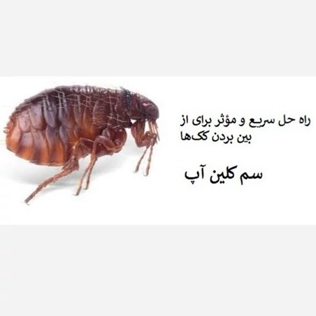 راهحل قطعی برای نابودی کک سم کلین آپ
