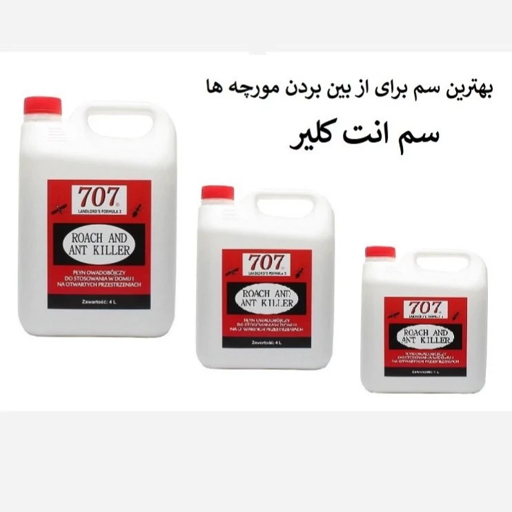 نابودی مورچه ها از خانه با بهترین سم انت کلیر