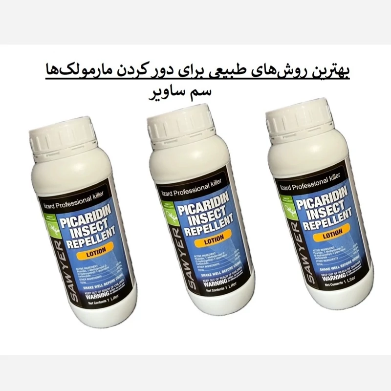 راه‌حل سریع برای مارمولک‌ها از خانه ساویر