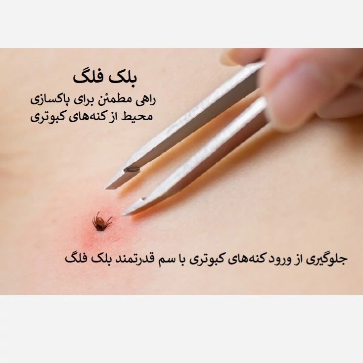 نابودی فوری کنه کبوتری با سم بلک فلگ