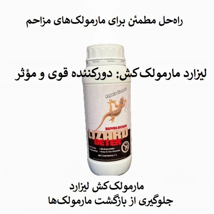 سریع از شر مارمولک خلاص شوید لیزارد