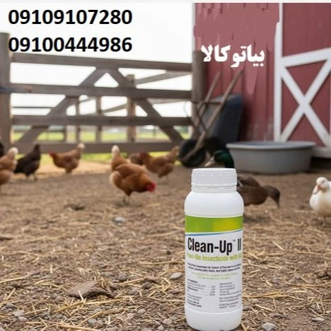 ککها را با سم کلین آپ نابود کنید