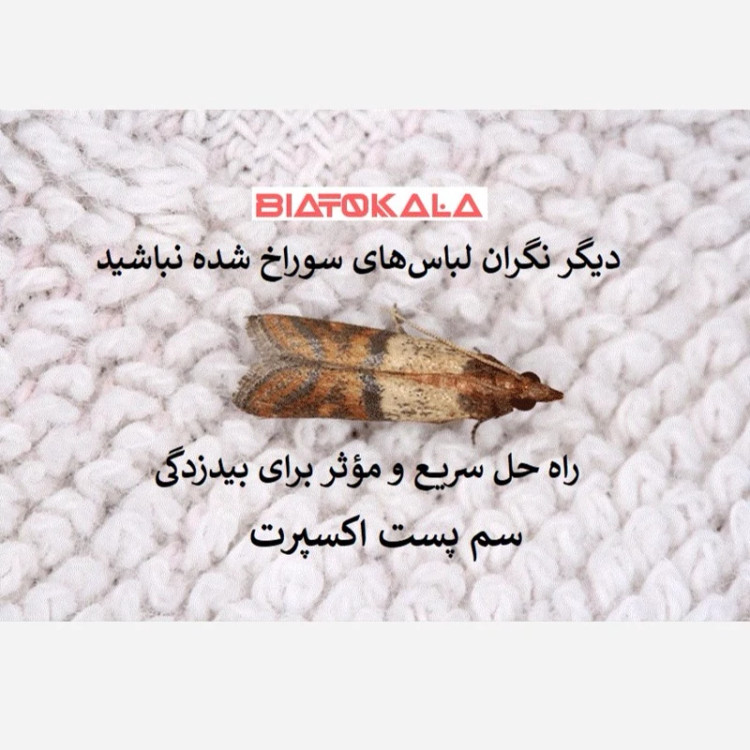 نابودی بید با سم پست اکسپرت