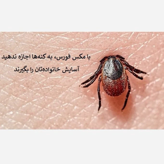 نابودی کامل کنهها با سم مکس فورس