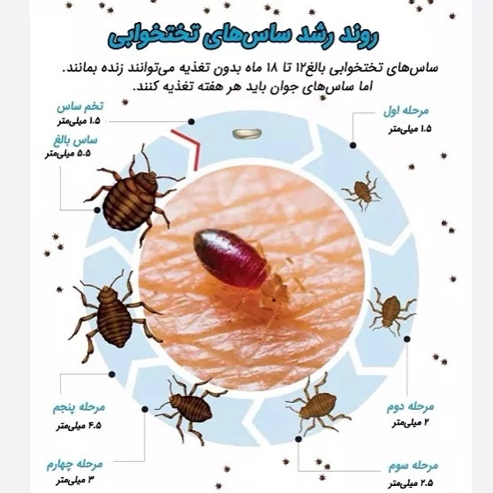 سم ساس پیرانا تحت لیسانس ویران کننده در جهان ارسال رایگان