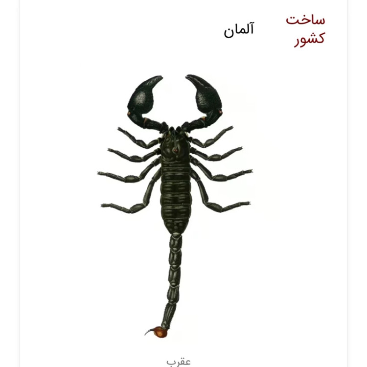 سم عقرب کش پیگانیک مبارز بی رحم عقرب ها ارسال رایگان
