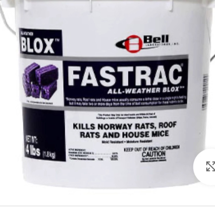 طعمه موش فسترک بلاکس ارسال رایگان FASTRAK BLOX