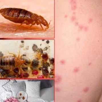 سم ساس کش پیرانا Pyranha نسخه اصلی ارسال رایگان