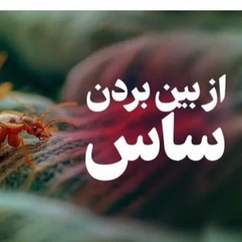 سم ساس کش پیرانا Pyranha نسخه اصلی ارسال رایگان