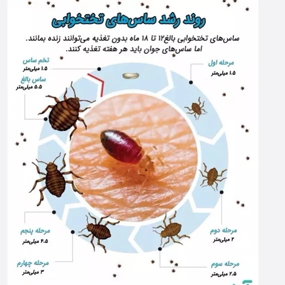 سم بدباگ اوت مبارز سرسخت ساس ارسال رایگان