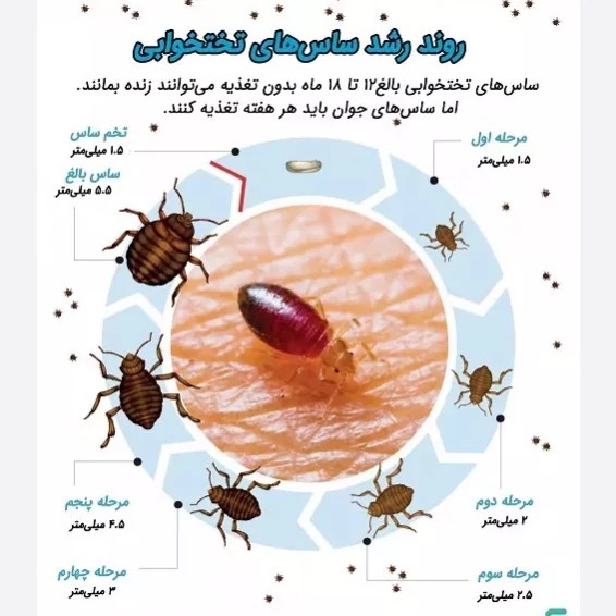 سم کشنده ساس پرومکس PROMAX هیولای مبارز ساس ها ارسال رایگان