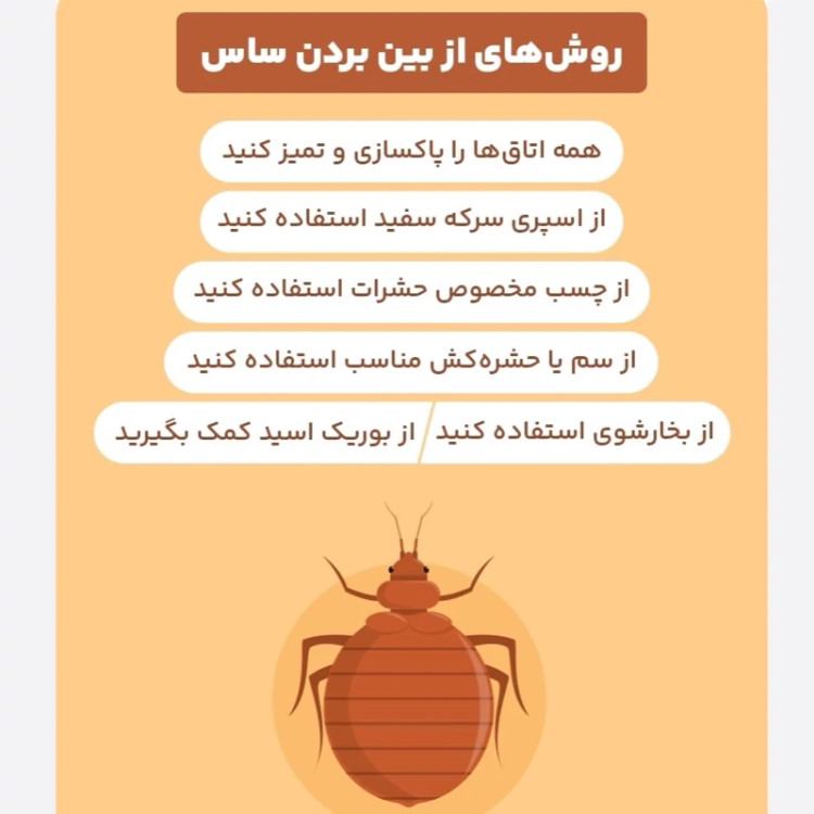 سم کشنده ساس پرومکس PROMAX هیولای مبارز ساس ها ارسال رایگان