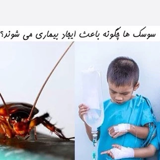 سم 4 لیتری سوسک ریز و درشت رونج عمده مبارز اول ارسال رایگان