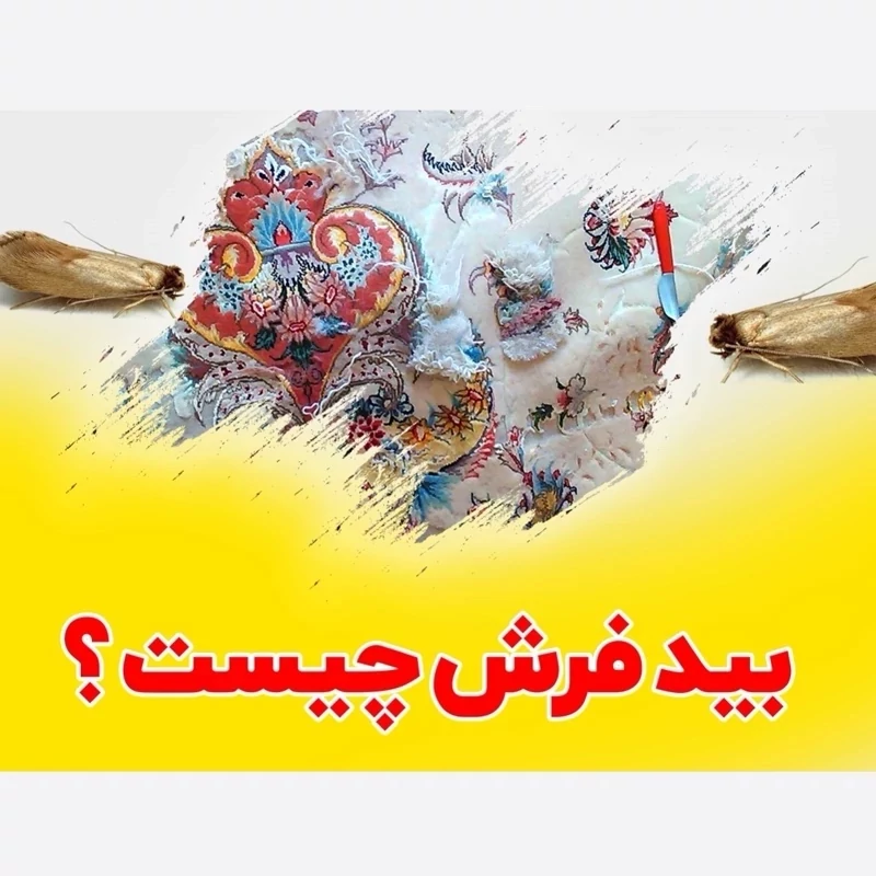 سم بید کش پست اکسپرت مبارز انواع بید لباس و فرش ارسال رایگان