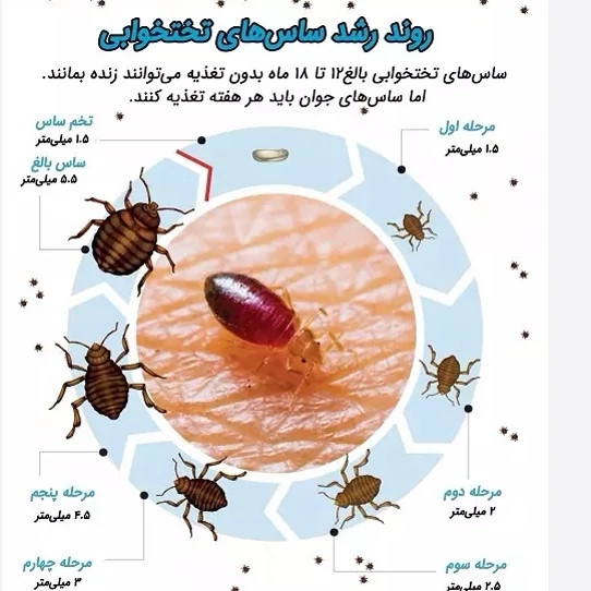 سم 10 لیتری پیرانا Pyranha نسخه اصلی اورجینال عمده ارسال رایگان