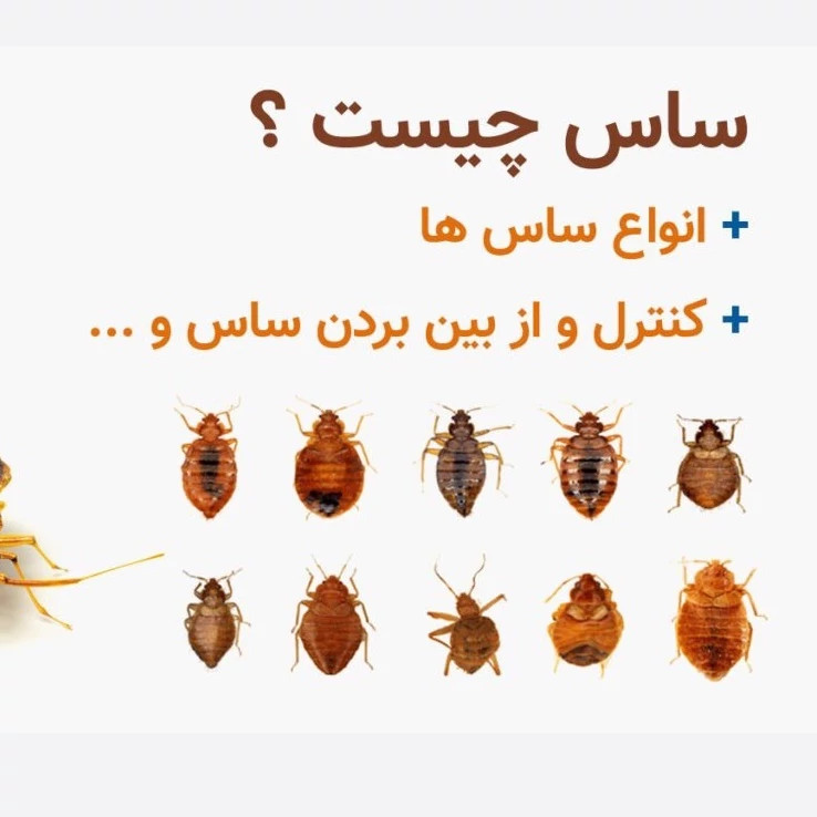 سم 10 لیتری پیرانا Pyranha نسخه اصلی اورجینال عمده ارسال رایگان