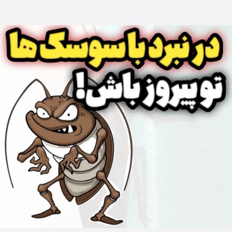 سم 4 لیتری سوسک ریز و درشت برند ریپلزال اورجینال ارسال رایگان