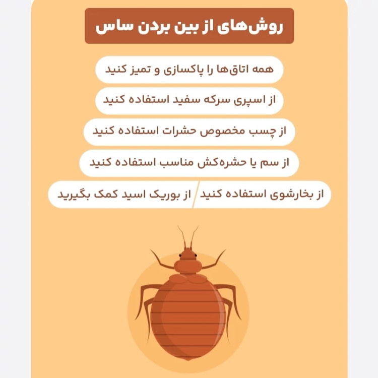 سم 4 لیتری نسخه اصلی پیرانا Pyranha اورجینال ارسال رایگان
