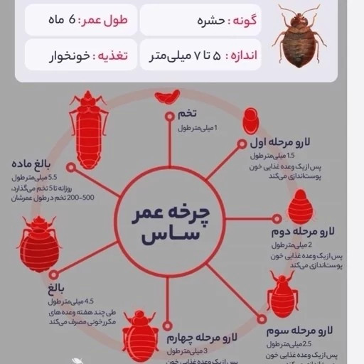 سم ساس پیرانا تحت لیسانس کشنده ترین ساس کش دنیا ،اورجینال و ارسال رایگان