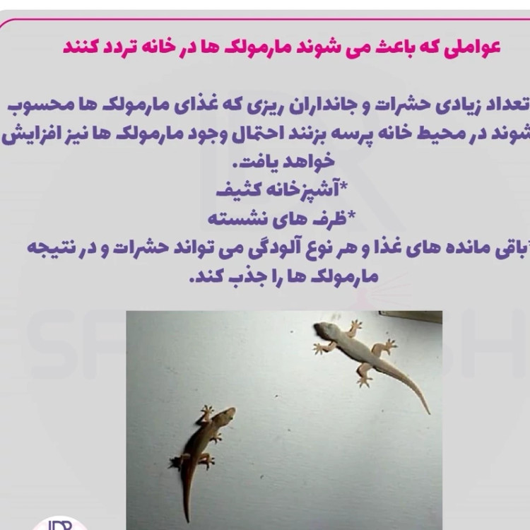 سم مارمولک کش ساویر SAWYER اورجینال ارسال رایگان