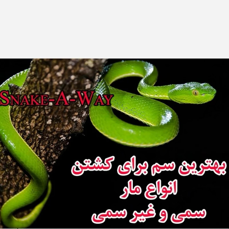 سم مار اسنیک وی یک لیتری نسخه اصلی اورجینال ارسال رایگان
