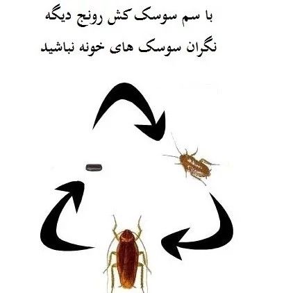 سم سوسک کش رونج کشنده ترین سم بدون بو ارسال رایگان