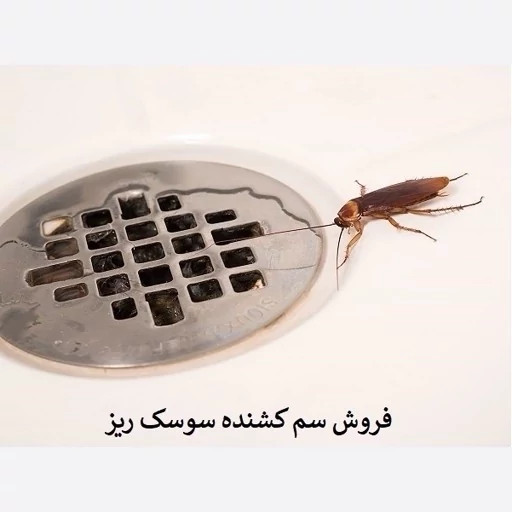سم سوسک کش رونج کشنده ترین سم بدون بو ارسال رایگان