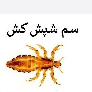 سم شپش کش پرمکترین یک لیتری ارسال رایگان